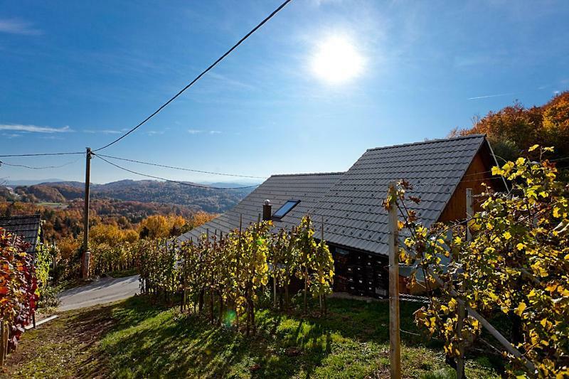 Zidanica Meglic - Vineyard Cottage Meglic Trebnje Exterior photo